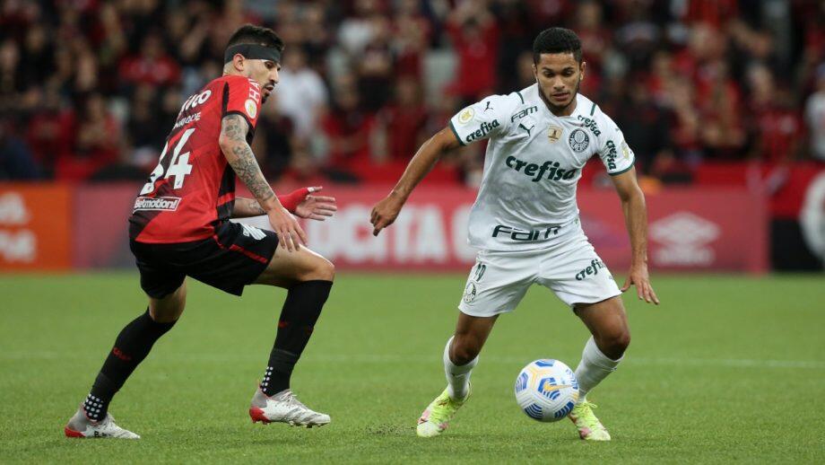 Assessoria/Palmeiras