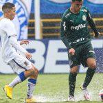 Assessoria/Palmeiras