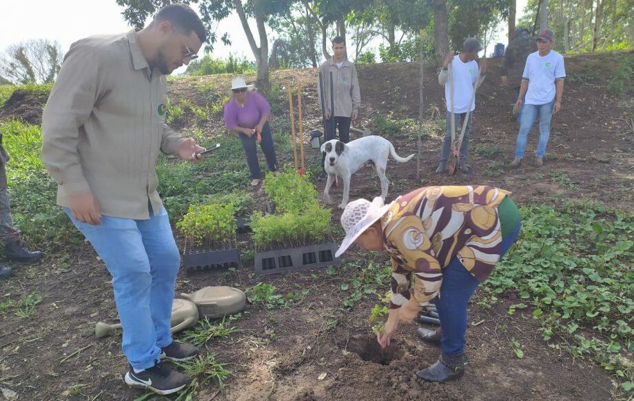 Equipe com 20 voluntários realizou o plantio.