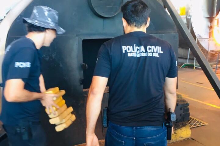 Divulgação