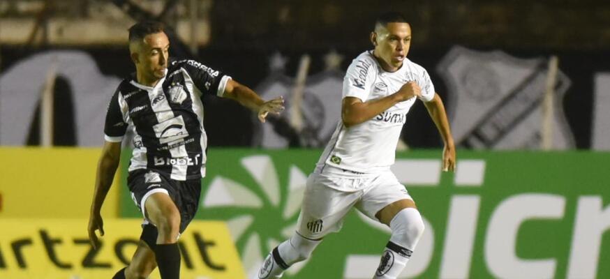 Assessoria/Santos
