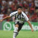 Assessoria/Santos