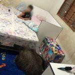 Criança dormia enquanto tamanduá entrou no quarto e deitou no tapete