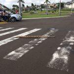 Jiboia flagrada atravessando na faixa na entrada do condomínio Damha