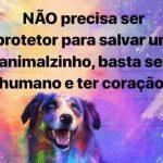 Foto : Divulgação