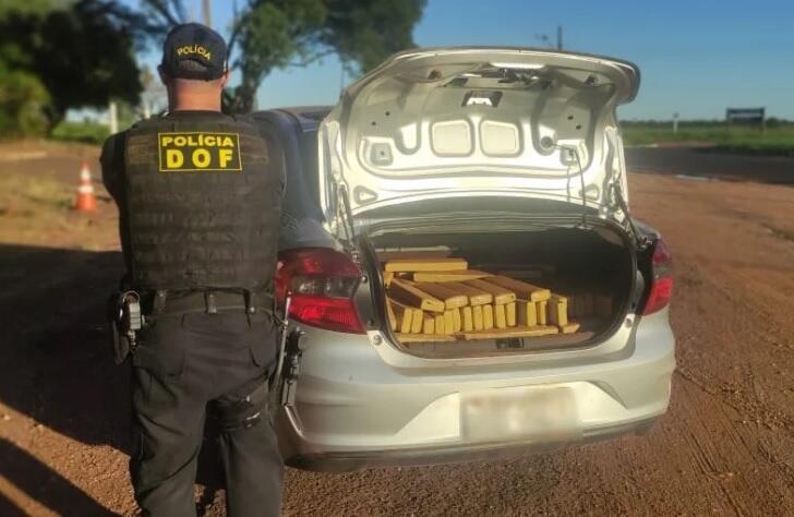 Divulgação