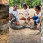 Fotos da sucuri verdadeira