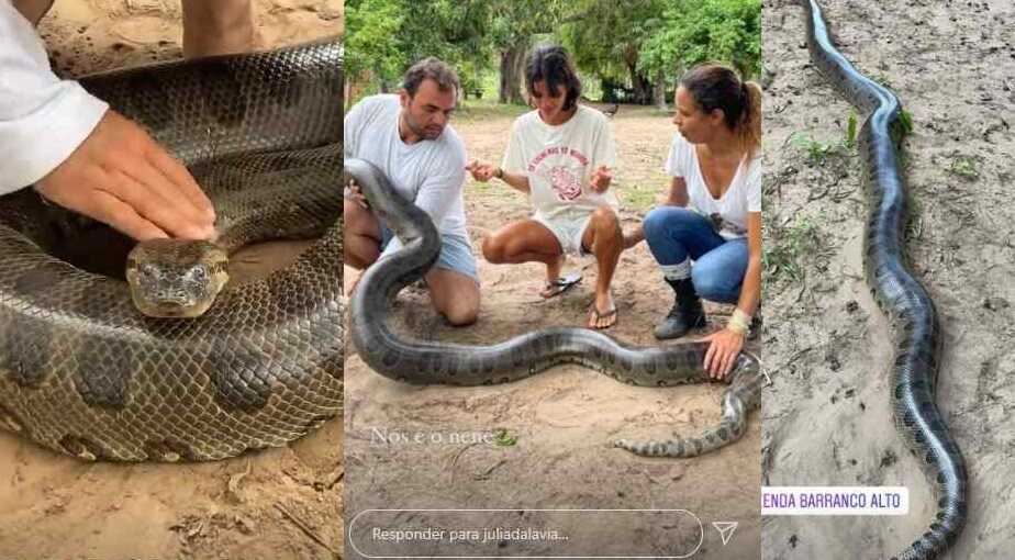 Fotos da sucuri verdadeira