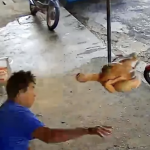 Momento em que o homem arremessa o frango contra o assaltante