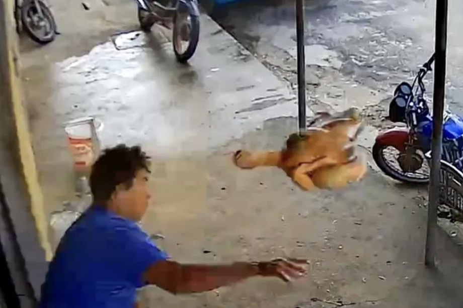 Momento em que o homem arremessa o frango contra o assaltante