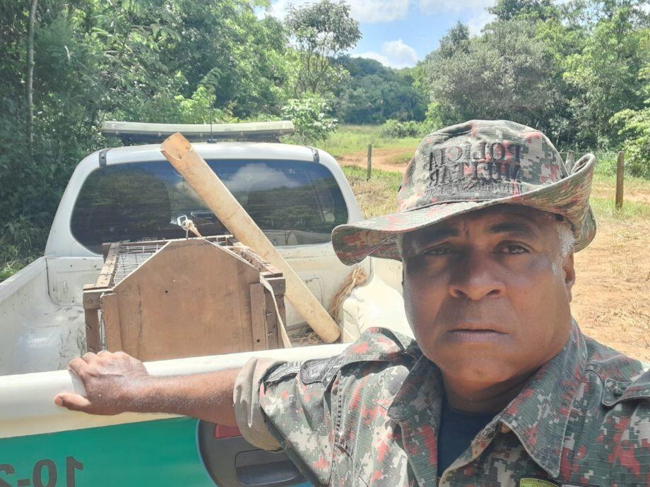 Divulgação
