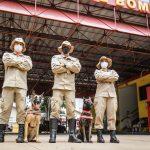 Laika e Mali fazem parte da equipe de cães do Corpo de Bombeiros de MS.
