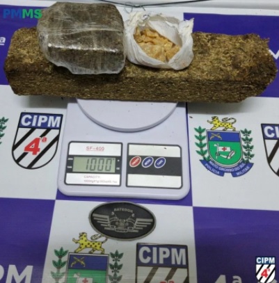 Divulgação