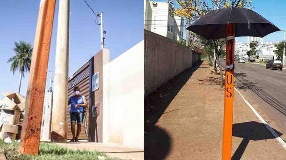 Luzia buscava uma pequena sombra formada por um poste de energia para se proteger do sol