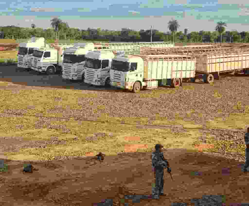 Frota de caminhões apreendida pela operação