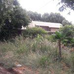 Terreno baldio não passa por manutenções e ocasiona transtornos no bairro.