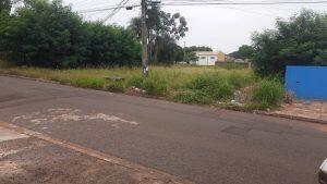 Local conta com mato alto