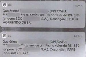 Algumas mensagens em Pix que foram enviadas pelo idoso