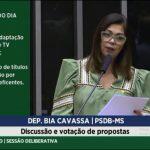 Bia Cavassa suplemente tereza cristina