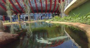 Águas Guariroba vai fornecer água tratada para o Aquário do Pantanal