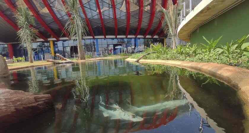 Águas Guariroba vai fornecer água tratada para o Aquário do Pantanal