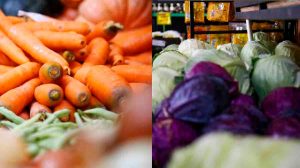 Os plantios de cenoura e repolho quase foram completamente dizimados