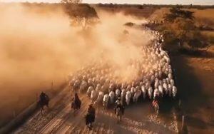 estreia pantanal