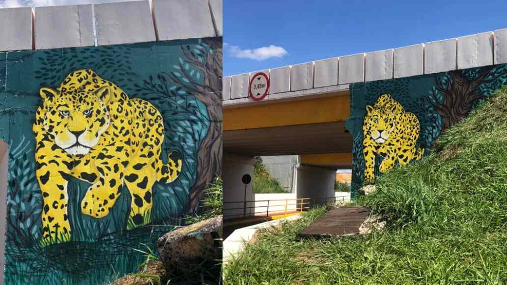 Projeto de artista quer embelezar a cidade