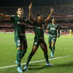 Assessoria/Palmeiras