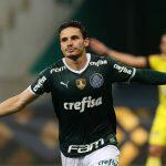 Assessoria/Palmeiras