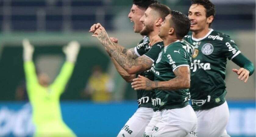 Assessoria/Palmeiras