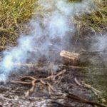 Funcionários tentam exterminar insetos e causam incêndio no Parque dos Poderes