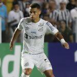 Assessoria/Santos