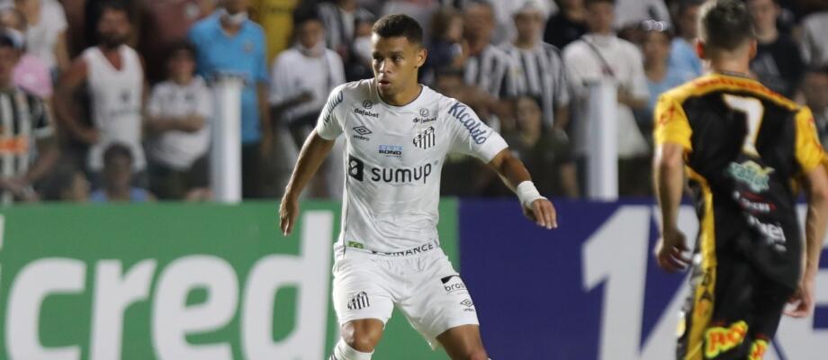 Assessoria/Santos