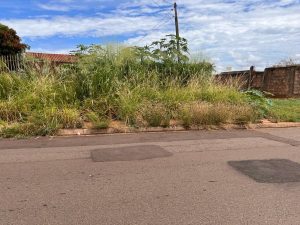 O terreno está localizado na Avenida Norte
