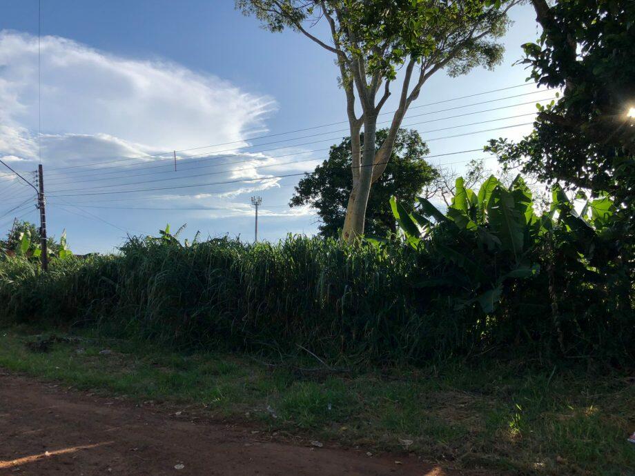 Rua Dr. Cícero de Campos Gurgel