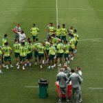 Palmeiras