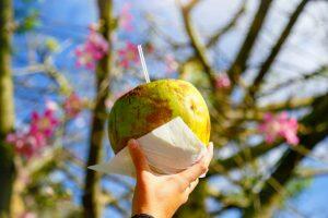 Com sol forte, água de coco é opção