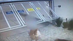 Ataque de cachorros na Capital