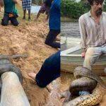 erom cordeiro sucuri pantanal