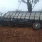 Bois morreram após caminhão tombar em estrada