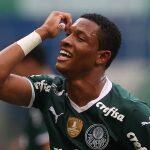 palmeiras