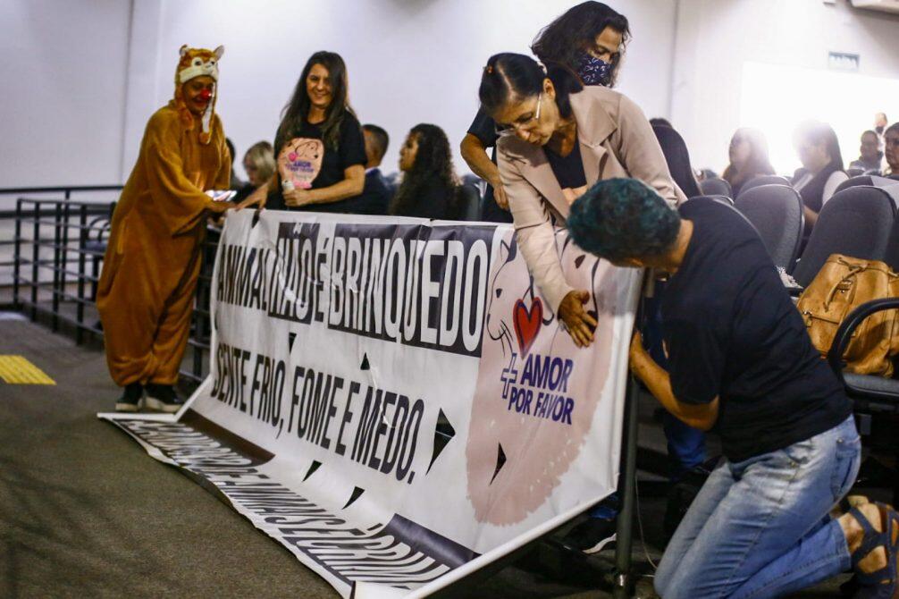defensores