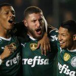 palmeiras