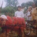 Foto com ovelha colorida