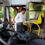 nelsinho consorcio