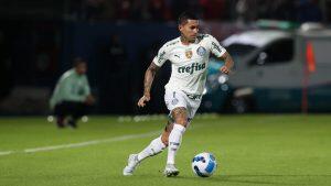 palmeiras