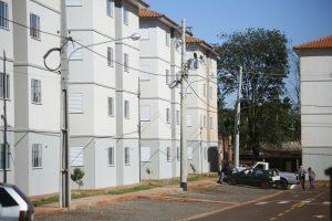 Casa Verde e Amarela canguru