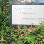 fiocruz ms vagas