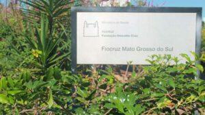 fiocruz ms vagas